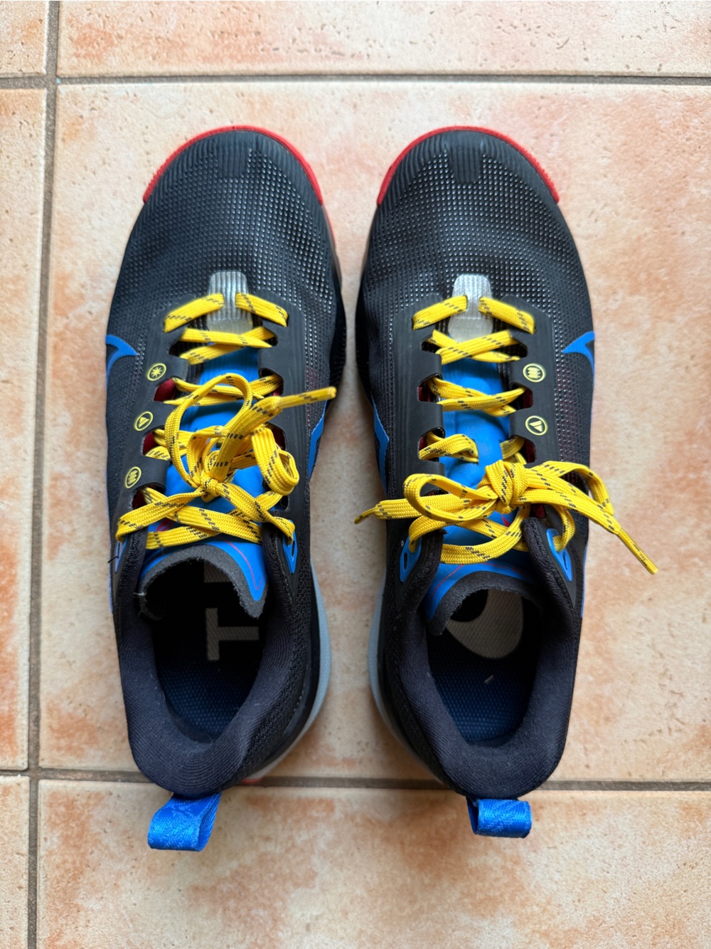 Nike women hiking shoes